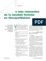 SANIDAD FORESTAL EN BIZKAIA Ya Esta