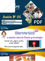 sesion-5-tipos-de-raices_2