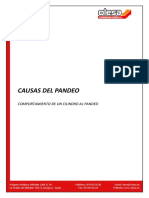 CAUSAS+DEL+PANDEO.pdf