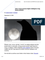 Crows Possess Higher Intelligence Long Thought Primarily Human 20