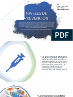 NIVELES DE PREVENCION.pdf