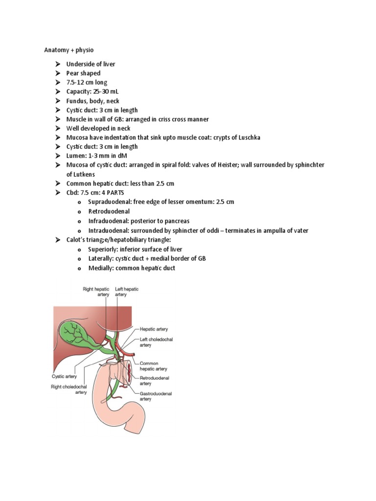 Gall Bladder and Bile Duct | PDF | Gallbladder | Bile