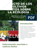 Impacto Cultivos Ilicitos en La Ecología PDF