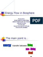 Energy Flow in Biosphere