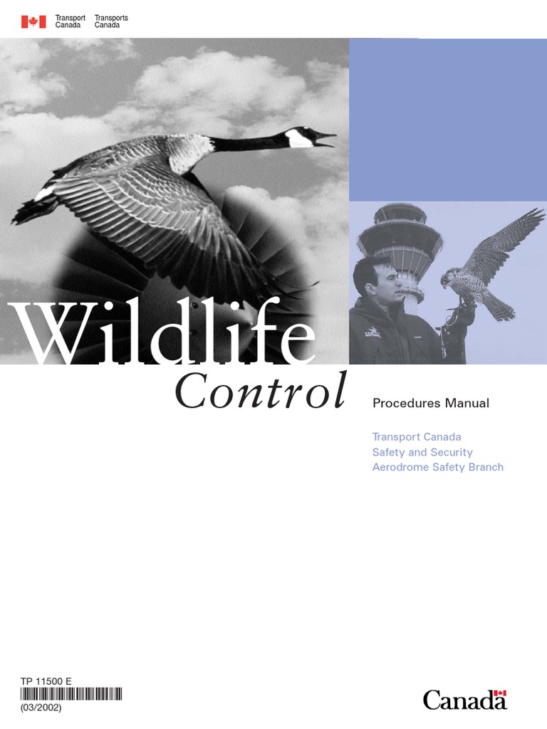 Wildlife Control Procedures Manual | PDF | Bird Migration | Airport