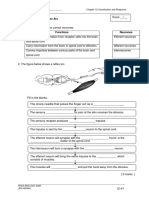 WORKSHEET 12.4: Reflex Arc: Name: - Chapter 12 Coordination and Response