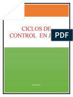 ciclos de control.docx