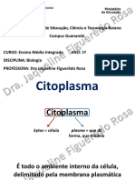 7 Citoplasma