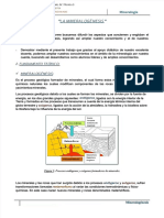 docdownloader.com-pdf-la-mineralogenesis-1-objetivos-dd_de4363ac9f23f5e992058fe006f3d46a