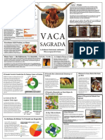 11x17 Sacred Cow Brochure Spanish PDF