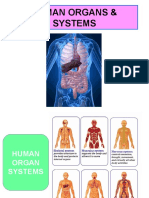 Meeting 8 - Human Organs & System (NERS 3)
