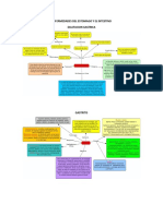 Notas de Clase - Enfermedades Del Estomago y El Intestino