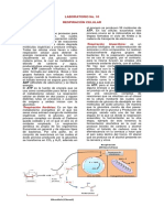 Lab.9 Respiración Celular PDF