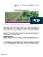 Fisiopatias en berries.pdf