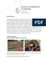 Manejo de Enfermedades en Arandanos.pdf