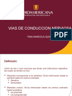 vias de conducción nerviosa