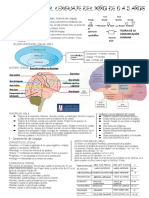 Desarrollo Del Lenguaje Del Niño de 0 A 5 Años PDF