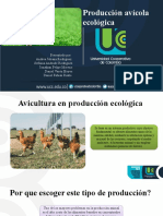 Produccion Avicola Ecologica