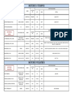 Resumen Lubricantes Motor PDV