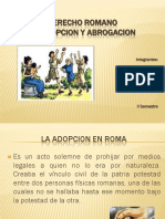 Adopcion PDF