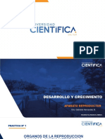 Practica 1 DyC GHB 2020-II (1)