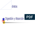 Cardohidratos Absorcion y Digestion PDF