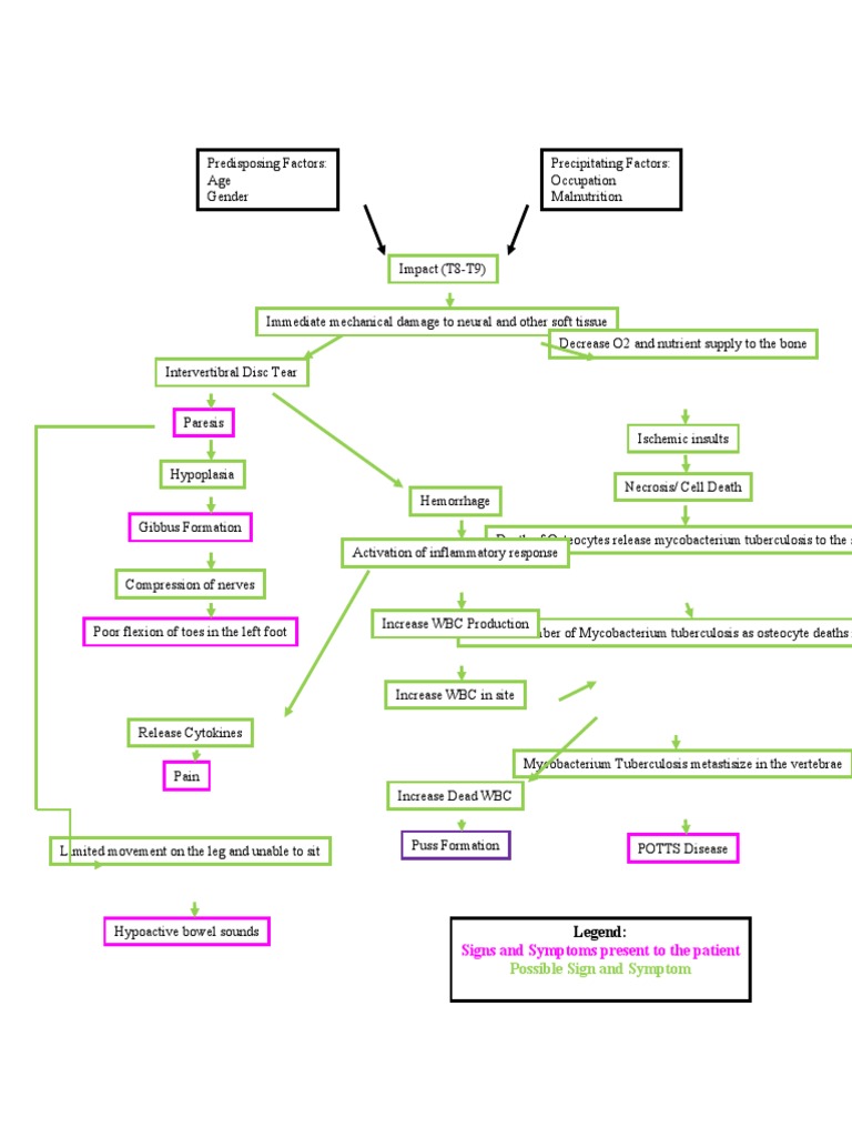 Pathophysiology of POTT's Disease PDF