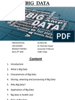 Big Data PDF