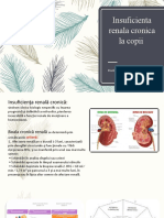 Insuficienta Renala Cronica La Copii