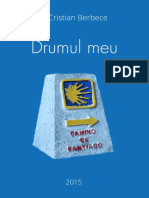 Cristian Berbece - Drumul Meu - EL-CAMINO PDF