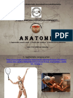 Anatomie curs 2