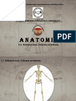 Anatomie curs 3.1