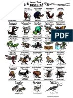 Insect Type PDF