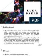 Luka Bakar