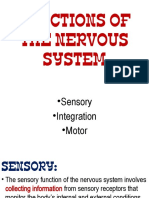 Functions of The Nervous System