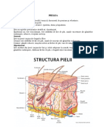 Pielea Mucoasa-Olfactiva Limba