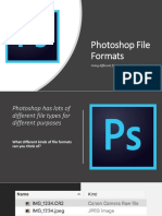 File Formats Copy 1