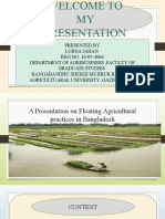 Floating Agricultural Practices in Bangladesh