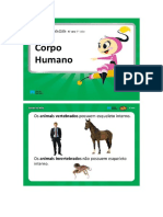 Corpo Humano 4ºano