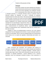 Teoria Da Autodeterminação