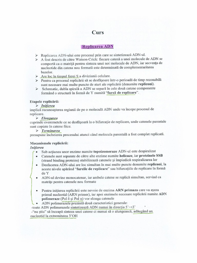 C2 Replicarea ADN+ADNmt+ARN | PDF