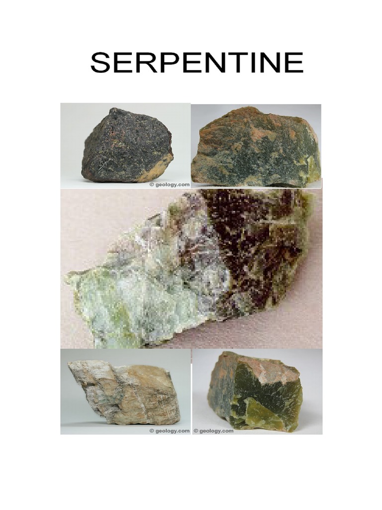 SERPENTINE | PDF