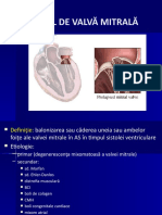 07 Valvulopatii aortice