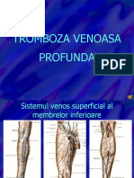 11 Tromboza Profunda