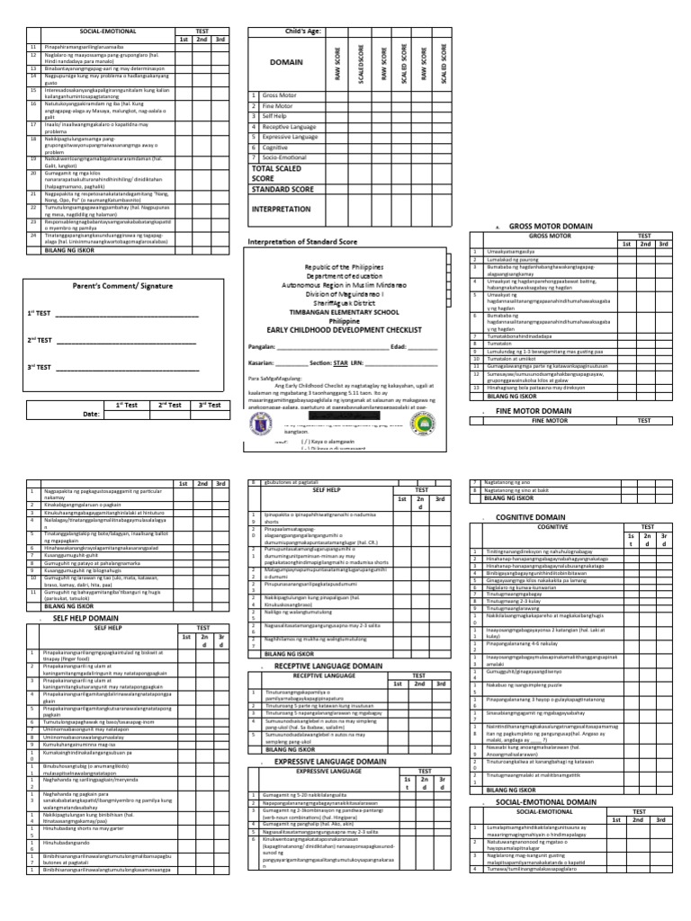 ECCD Checklist Scaled to Standard Scores | PDF