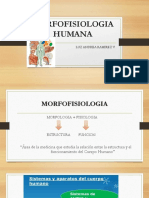 MORFOFISIOLOGIA HUMANA Generalidades
