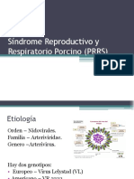 Síndrome Reproductivo y Respiratorio Porcino (PRRS)