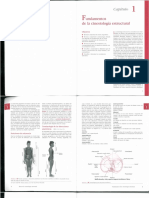 Libro Cinesiologia PDF