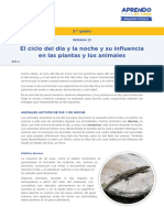 Ficha martes (10).pdf