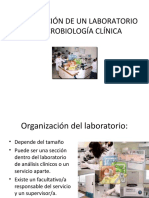 organizacion_laboratorio